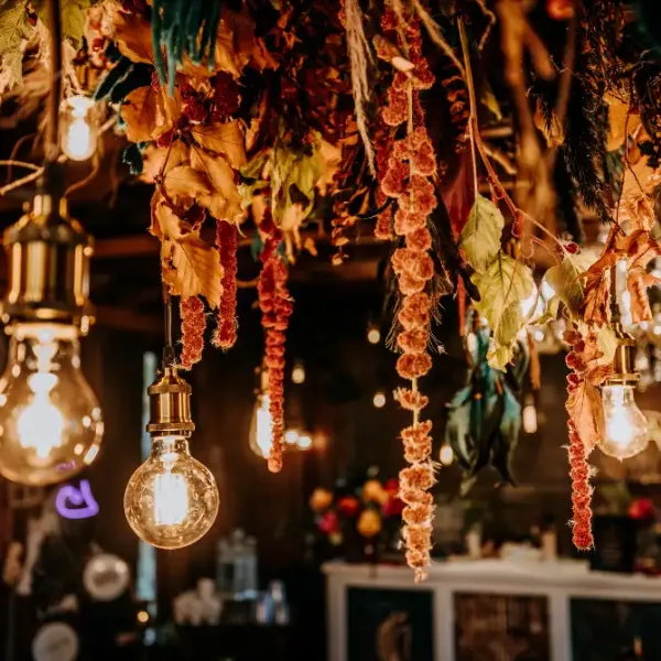 Hanging flowers and lights