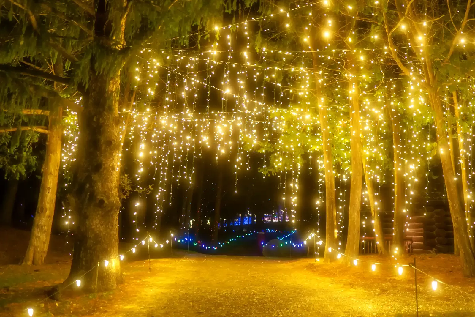 Outdoor lighted pathway