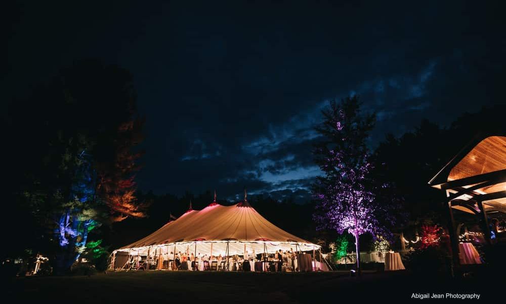 Trees uplighting